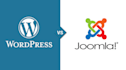 install wordpress or joomla theme and setup demo