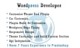 customize wordpress with css and theme , plugin customize