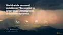create and design professional PPT or prezi presentations