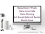 do advanced corporate data entry, excel database