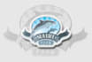 design, redesign, edit or vectorize your logo