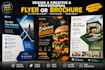 design a creative and professional flyer or brochure