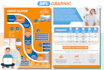 create custom professional infographic design