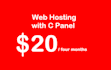 provide cheap web hosting with c panel and more