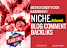provide high quality niche relevant blog comment manually