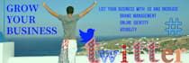 manage your twitter account