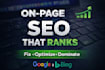 optimize your website for 1st page ranking on search engines