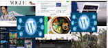 install and setup SEO friendly wordpress responsive website