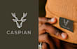 design a premium logo for your business