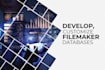 filemaker database design from scratch and bug fixing