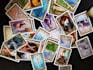 look into the future with timing the tarot cards