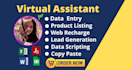 do data entry, copy paste, web research and excel data entry