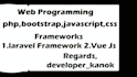 develop your website in php,javascript,jquery,vue js
