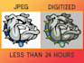 do realistic and detailed embroidery in wilcom software
