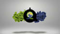 create 42 amazing animated logo intro video in 24hrs