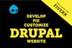 develop drupal website or fix, and update drupal issues