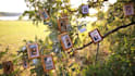 create a magical photo slideshow for your loved ones