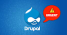 do any drupal development, fix bugs, upgrades, and custom features