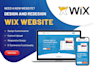 do professional wix website design