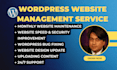 provide ongoing wordpress website maintenance and support