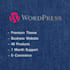 develop a wordpress website from scratch