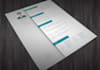 create you a professional resume in InDesign