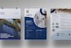 design amazing business flyers, brochure quickly