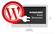 create your custom wordpress plugin