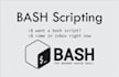 write bash shell script within 24 hours