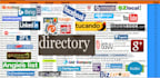do 100 niche directory submission manually