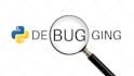 fix bugs in your python code