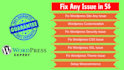 fix wordpress issue or bugs or errors in 12 hours