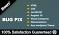 fix any bug related to wordpress and woo commerce