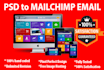 convert your psd to mailchimp email template fully editable