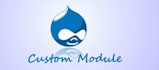 develop custom module or website in drupal