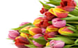write blog post as the leading dotcoms
