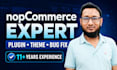 develop nopcommerce plugin, theme and ecommerce website