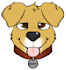 draw your pet in a cute style