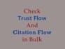 check trust flow and citation flow in bulk
