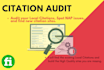 audit citations and fix the issues