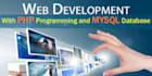 design and develop your website in advance language