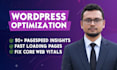 do wordpress speed optimization for google pagespeed insight