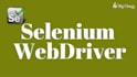 create selenium automation script