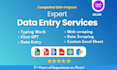 do excel data entry, data scraping and copy paste