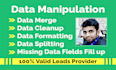 do data manipulation, cleaned, organized, and analyzed of your large database