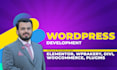 design and develop seo optimized wordpress website for you