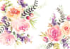 do pretty watercolor illustrations