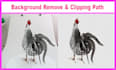 do background removal, cut out, clipping path, white or transparent bg