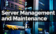 provide monthly server security, maintenance, and backup