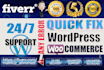 fix wordpress website and wordpress issues